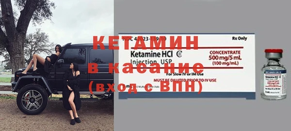 сатива Балахна