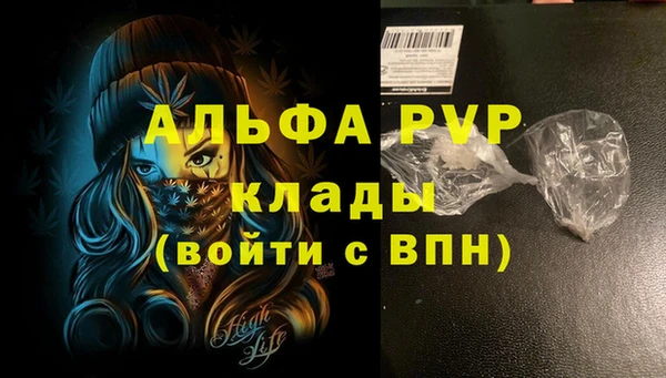 сатива Балахна