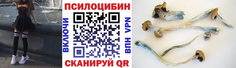 Галлюциногенные грибы MAGIC MUSHROOMS  Заволжск 